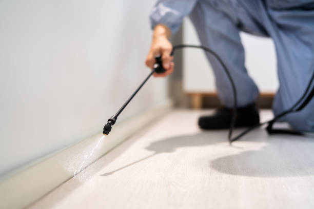 Licensed Cockroach Control service in Quincy, IL - Nex Pest Control