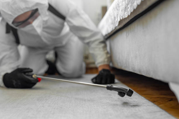 Professional Cockroach Control technician working in Quincy, IL
