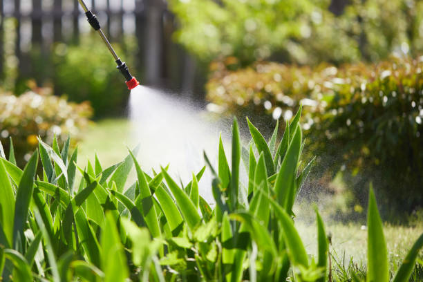 24/7 Emergency Cockroach Control experts in Quincy, IL
