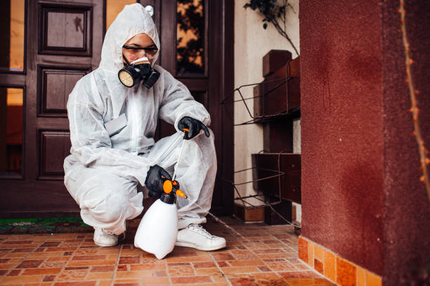 Reliable Cockroach Control contractor in Quincy, IL by Nex Pest Control