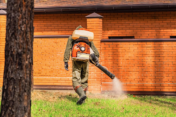 Top rated local Cockroach Control specialists in Quincy, IL